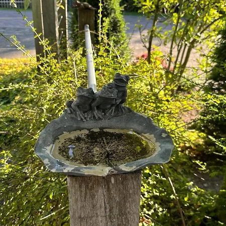 Bei Ute Niederdorla